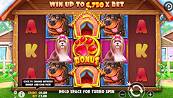 Tragamonedas The Dog House Megaways en el Casino Estrella.